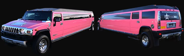 5Hummer-Roxy-Pink